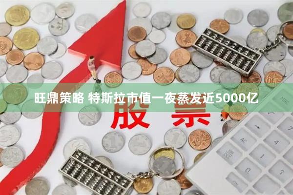 旺鼎策略 特斯拉市值一夜蒸发近5000亿