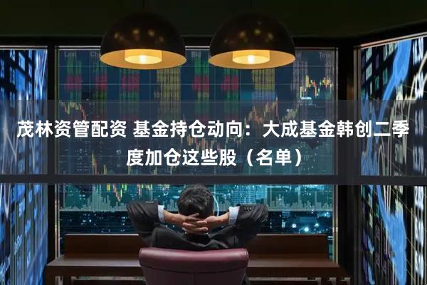 茂林资管配资 基金持仓动向：大成基金韩创二季度加仓这些股（名单）