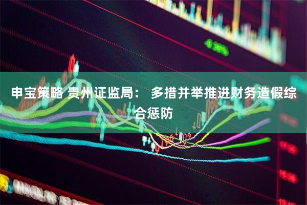 申宝策略 贵州证监局： 多措并举推进财务造假综合惩防