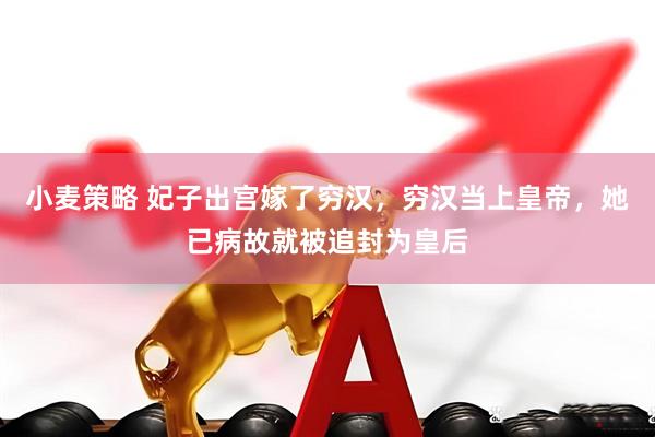 小麦策略 妃子出宫嫁了穷汉，穷汉当上皇帝，她已病故就被追封为皇后