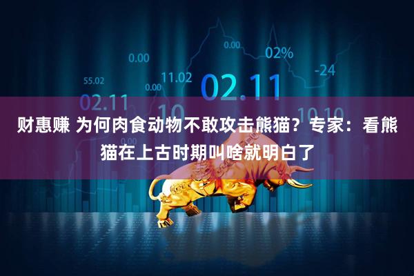 财惠赚 为何肉食动物不敢攻击熊猫？专家：看熊猫在上古时期叫啥就明白了