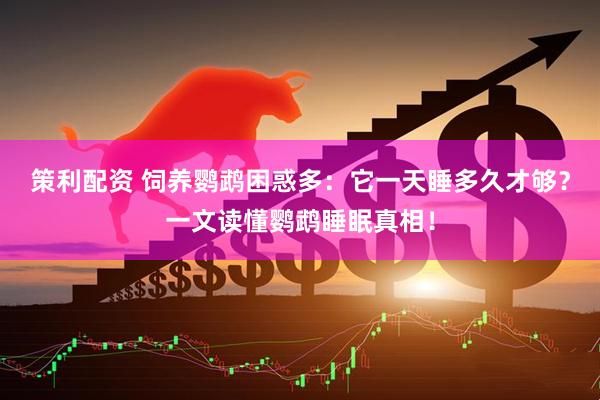 策利配资 饲养鹦鹉困惑多：它一天睡多久才够？一文读懂鹦鹉睡眠真相！