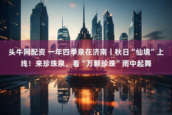 头牛网配资 一年四季泉在济南丨秋日“仙境”上线！来珍珠泉，看“万颗珍珠”雨中起舞